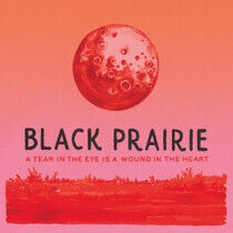 Black Prairie - Tear In the Eye is A..