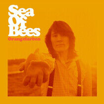 Sea of Bees - Orangefarben