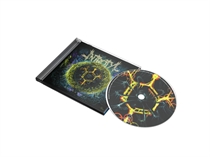 Introtyl: Adfectus (CD)