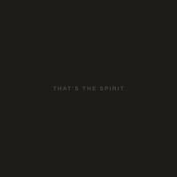 Bring Me The Horizon: That's The Spririt CD