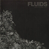 Fluids - Not Dark Yet