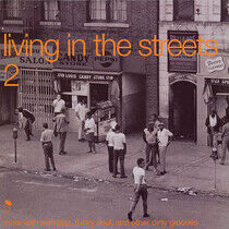 V/A - Living In the Streets 2