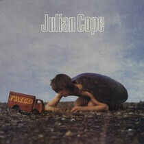 Cope, Julian - Fried