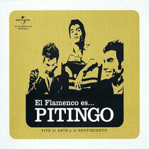 Pitingo - El Flamenco Es