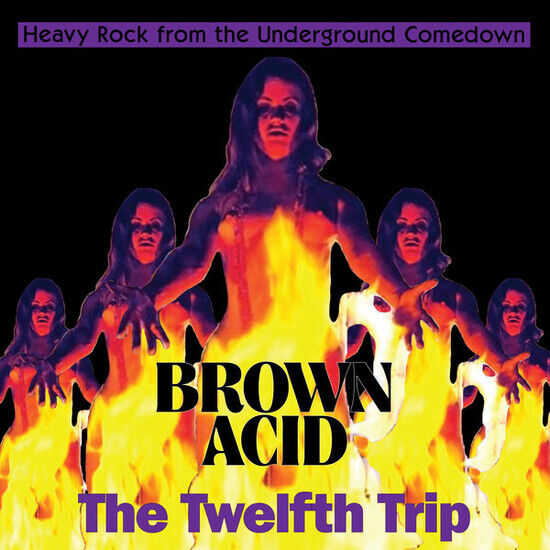 V/A - Brown Acid: the Twelfth..