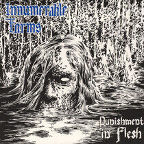 Innumerable Forms - Punishment In Flesh -Ltd-