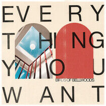 Birds of Bellwoods - Everything You Want -Hq-