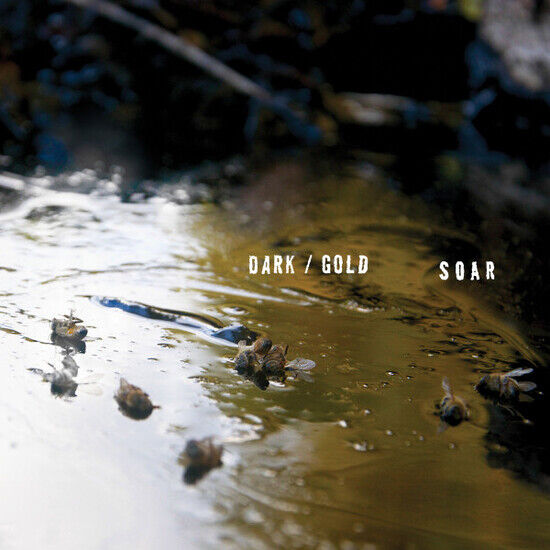 Soar - Dark / Gold -Download-