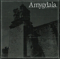 Amygdala - Our Voices Will Soar..
