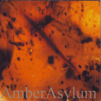 Amber Asylum - Frozen In Amber