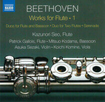 Beethoven, Ludwig Van - Works For Flute 1