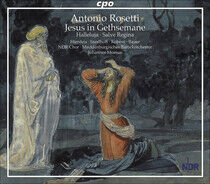 Rosetti, A. - Jesus In Gethsemane Orato