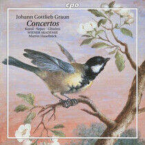 Graun, J.G. - Concertos:Sinfonia Grosso
