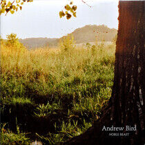 Bird, Andrew - Noble Beast