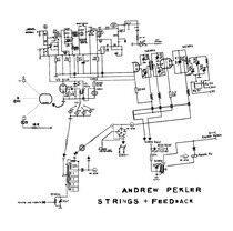 Pekler, Andrew - Strings + Feedback