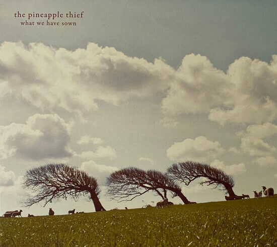 Pineapple Thief - What We Have Sown -Digi-