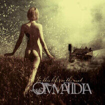 Ommatidia - In This Life or.. -Digi-