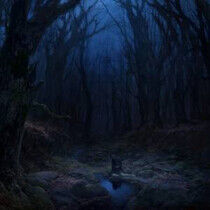 Woods of Desolation - Torn Beyond.. -Reissue-