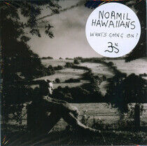 Normil Hawaiians - What's Going On