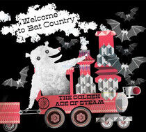 Golden Age of Steam - Welcome To Bat Country