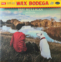 Hot Mulligan - You'll Be Fine