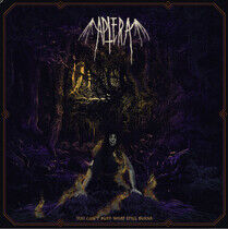 Aptera - You Can't Bury What..