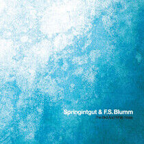 Springintgut - Bird & White Noise