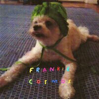 Frankie Cosmos - Zentropy -Download-