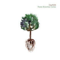 Osa7029 - Roots/Branches/Cones