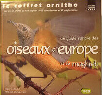 Birdsong - Oiseaux Europe Maghreb