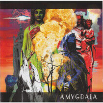 Amygdala - Amygdala
