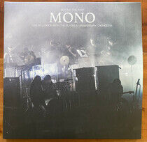 Mono - Beyond the Past