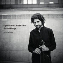 Larsen, Gjermund -Trio- - Salmeklang