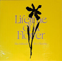 Ishibashi, Eiko / Jim O'R - Lifetime of a Flower
