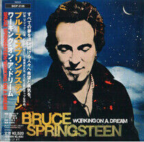 Springsteen, Bruce - Working On a Dream 1