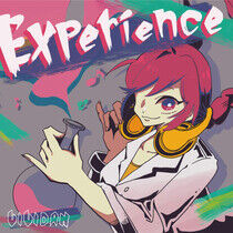 Lily Gakkidan - Experience