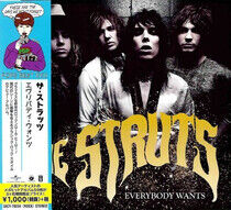 Struts - Everybody Wants -Ltd-