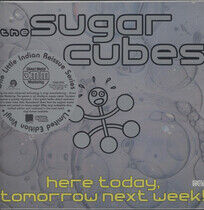 Sugarcubes - Here Today, Tomorrow..