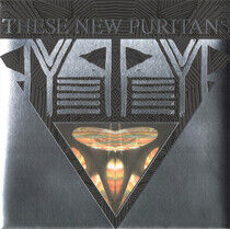 These New Puritans - Beat Pyramid