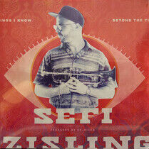 Zisling, Sefi - Beyond the Things I Know