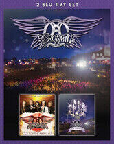 Aerosmith - Rock For the.. -Live-