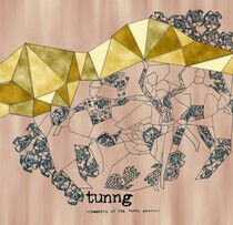 Tunng - Comments of the Inner..
