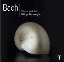 Collegium Vocale Gent / P - Bach -Box Set-