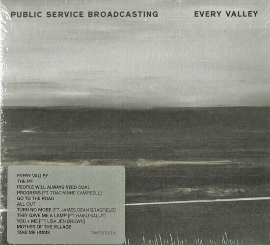 Public Service Broadcasti - Every Valley