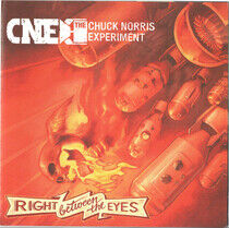 Chuck Norris Experiment - Right Between.. -Digi-
