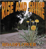 Rise & Shine - Road Flower