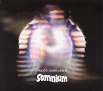 Gardner, Jacco - Somnium