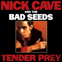 Nick Cave & The Bad Seeds - Tender Prey - LP VINYL