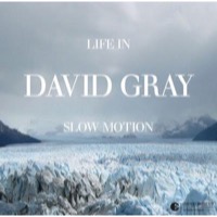 Gray, David: Life in slow motion