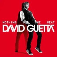Guetta, David: Nothing But The Beat (CD)